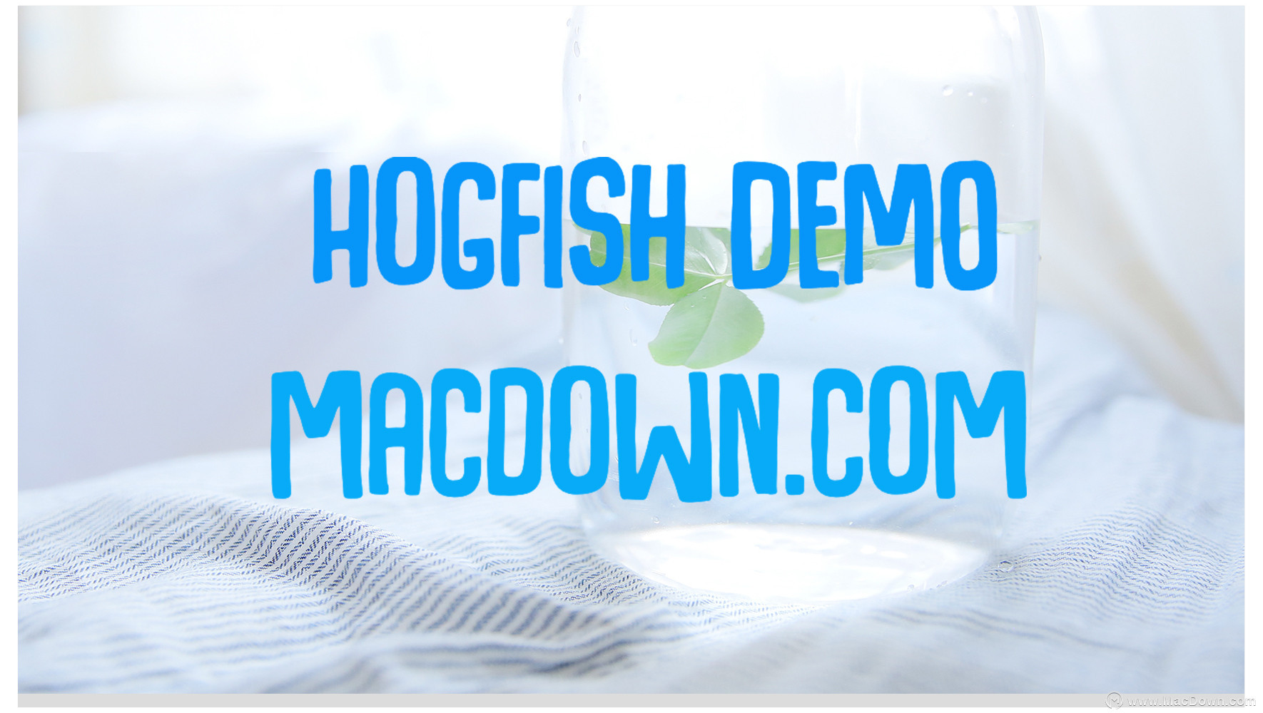 Hogfish卡通可爱设计Mac字体