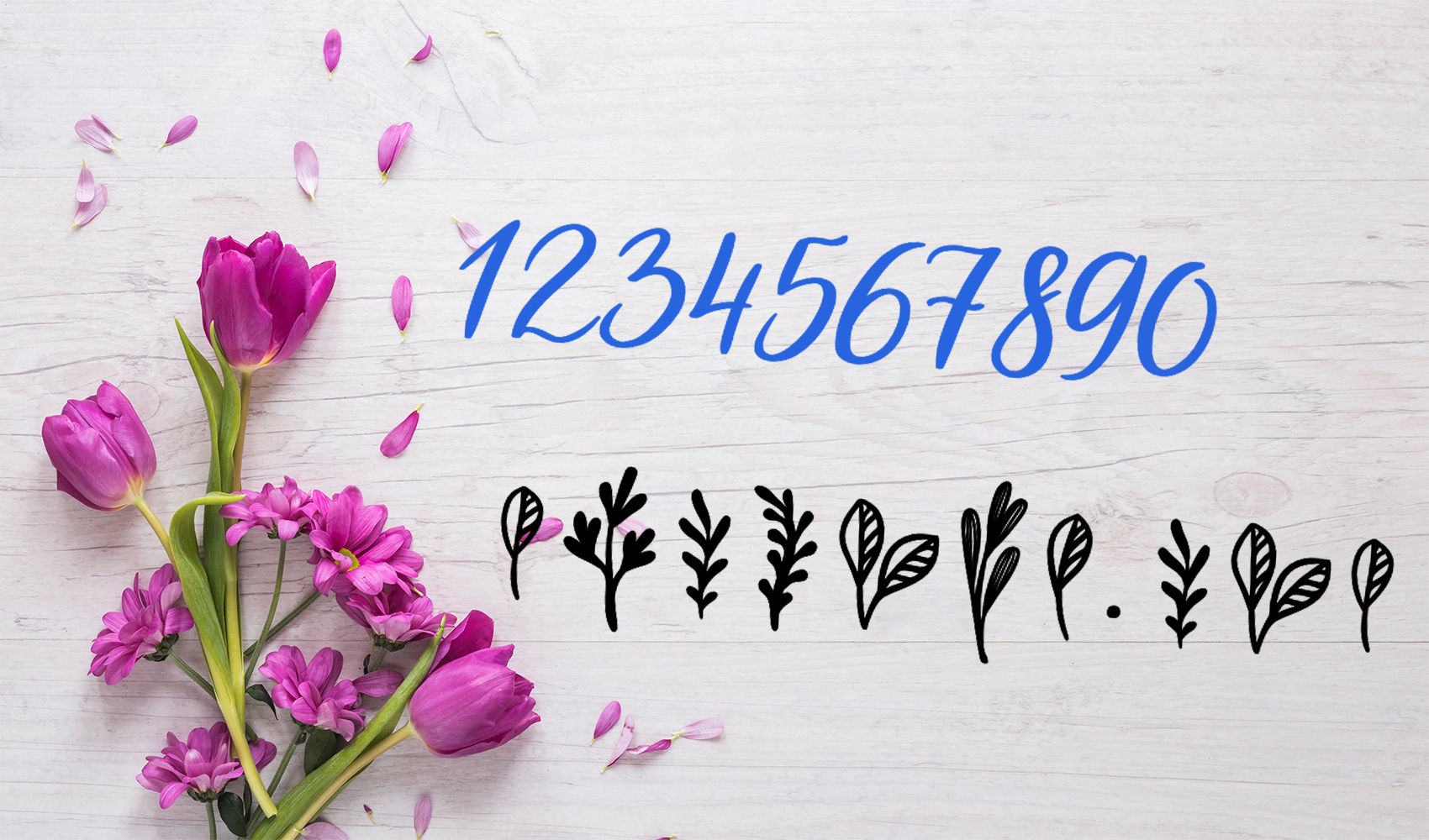 mac字体:秋季手绘花卉字体包