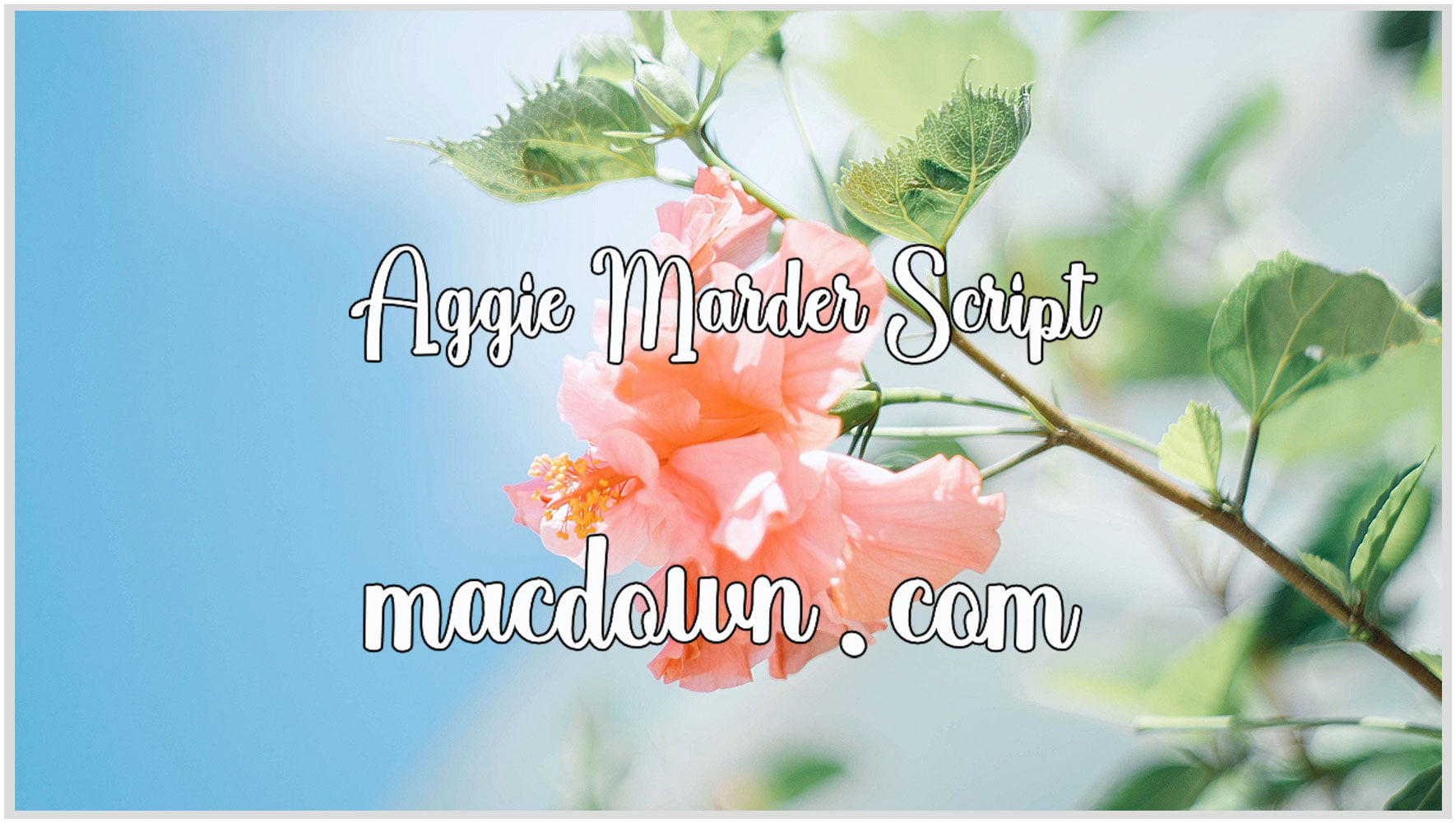 现代书法字体Aggie Marder Script
