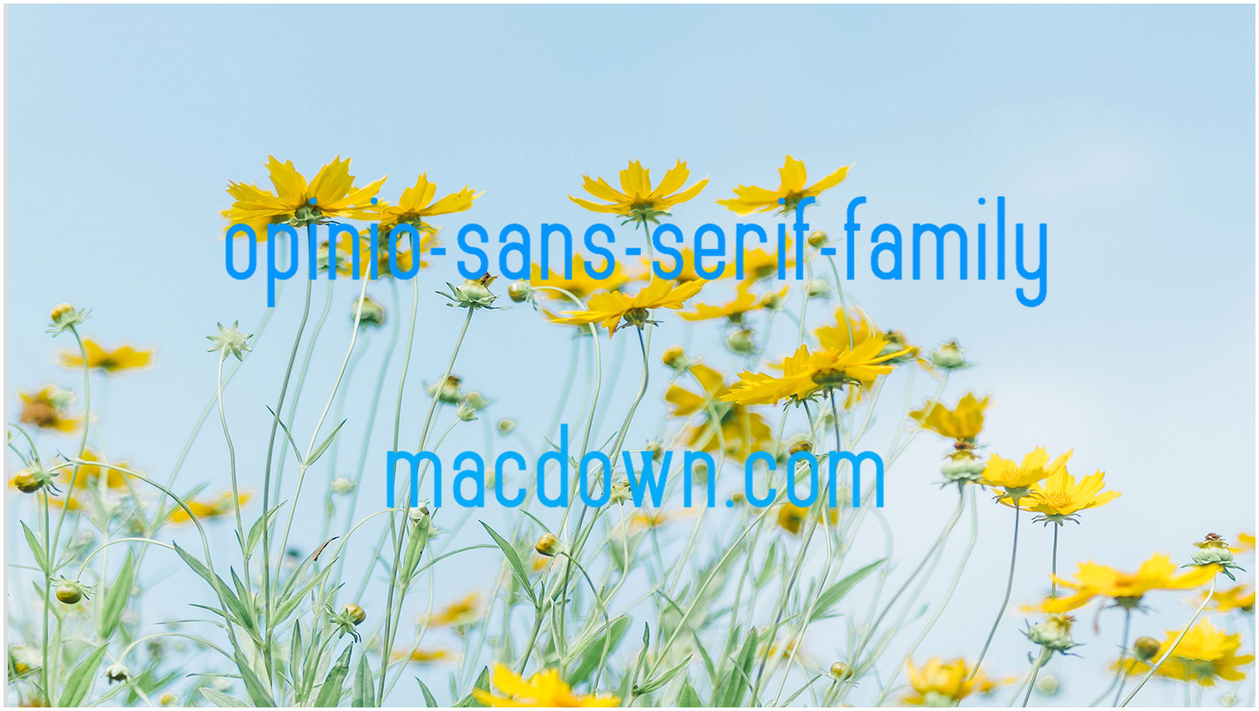 科幻风格Mac字体包Opinio Sans serif family