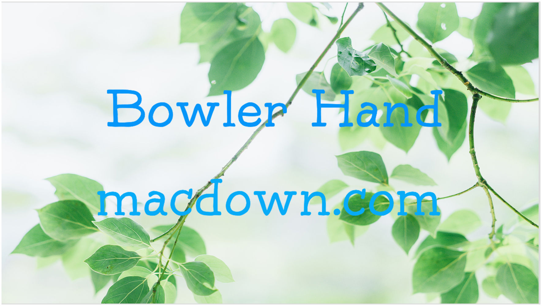  圆形平板字体Bowler Hand  
