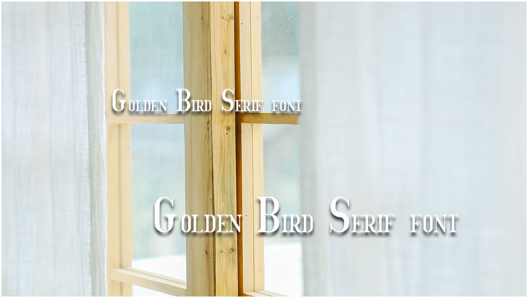 优雅干净的字体Golden Bird Serif font