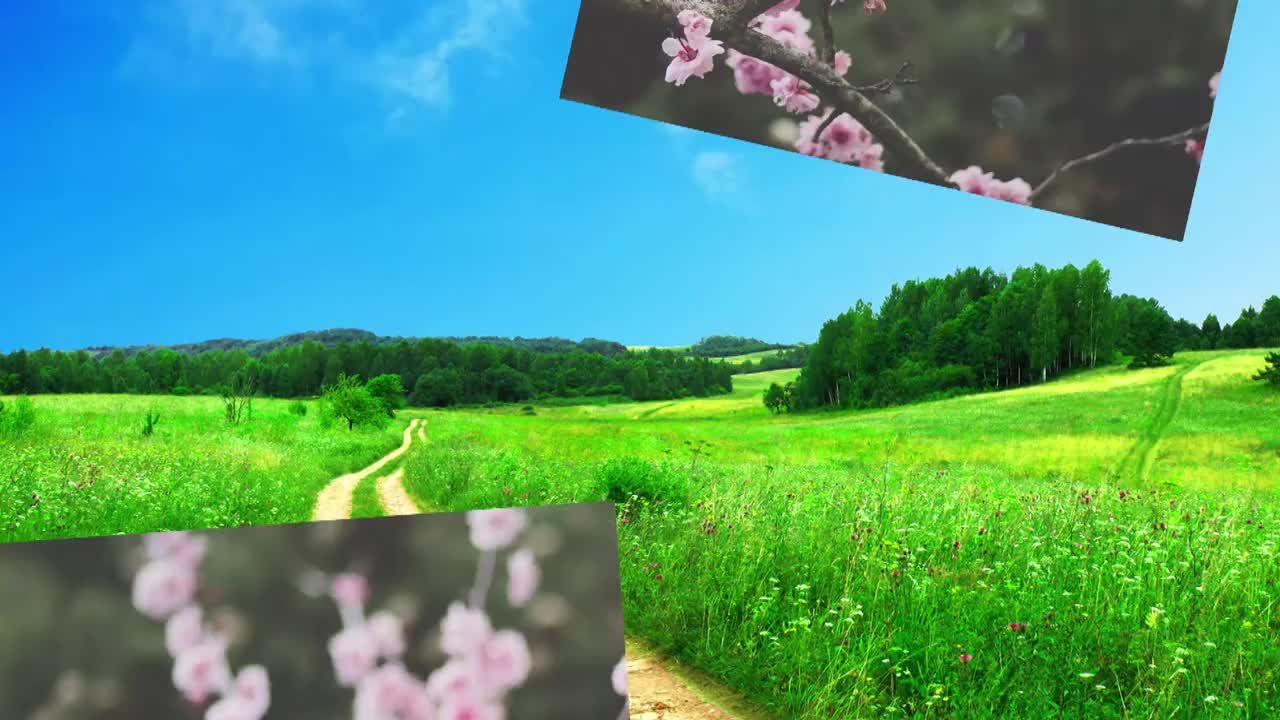 8个简单过渡效果的自然景照片展示Pr模板
