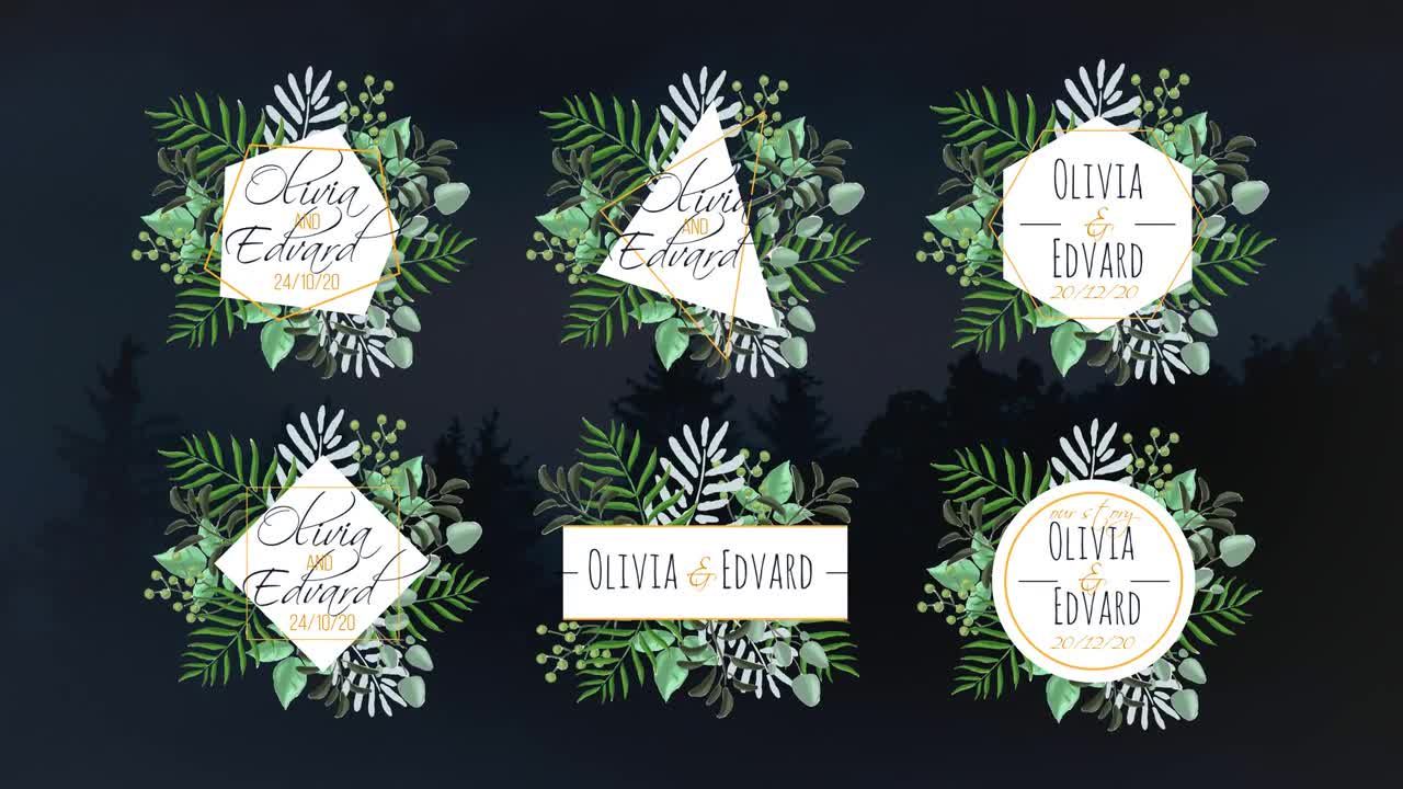 6个独特创意热带风情全屏婚礼标签动画PR模板
