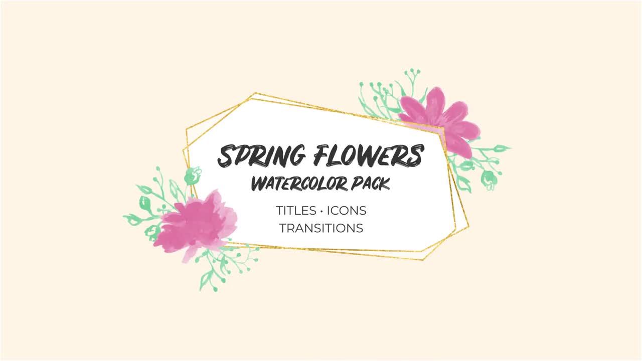 春天的手绘元素花朵水彩包Pr模板