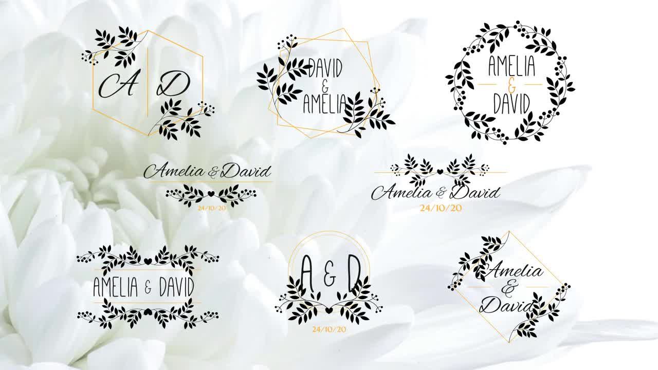 优雅花卉婚礼标题AE模板