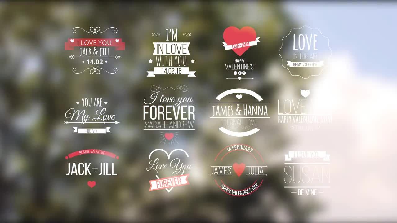 设计精美的爱情标题动画AE模板