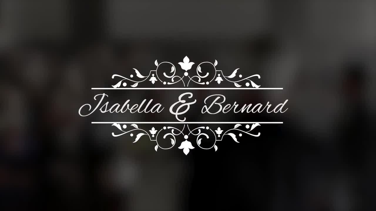 美观时尚的婚礼标题动画PR模板