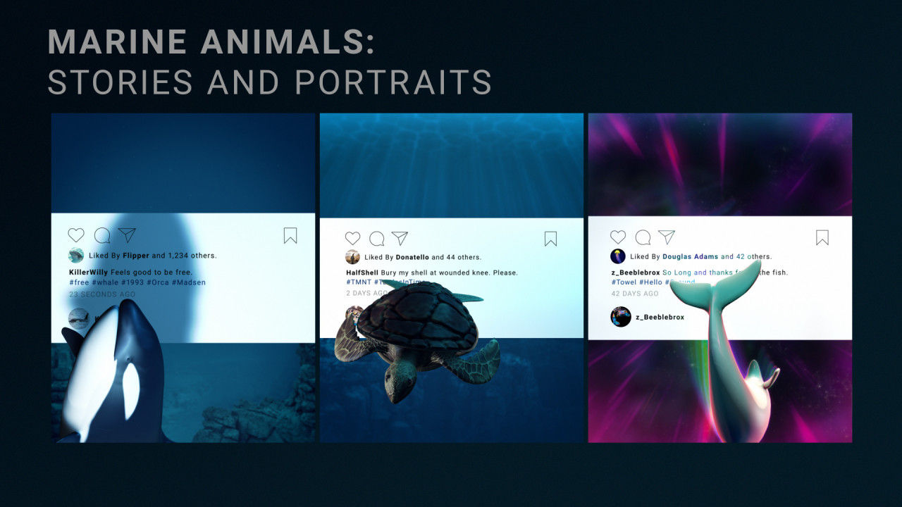 3种不同的3D海洋动物肖像AE模板