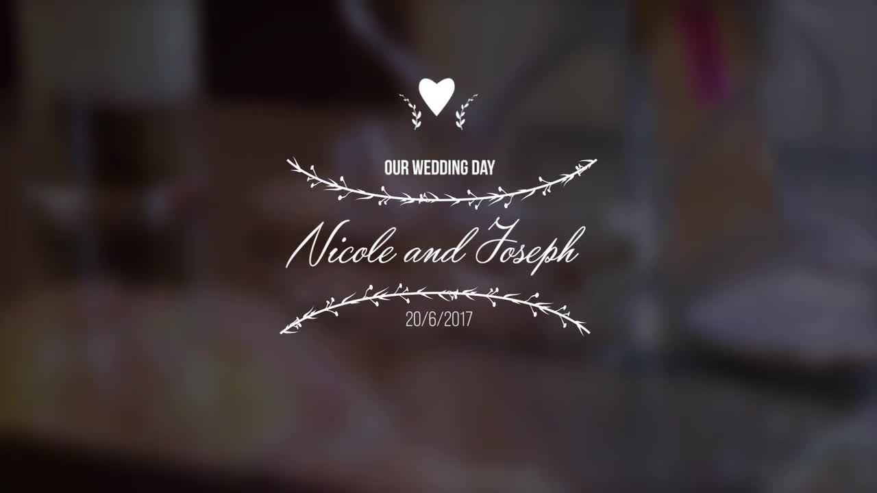 10个专业婚礼标题动画PR模板