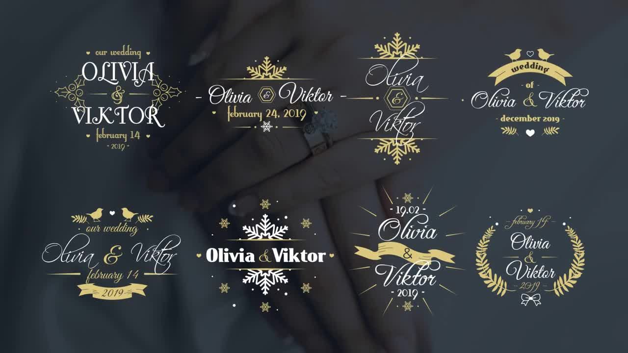 8个独特创意优雅的冬季婚礼标题AE模板