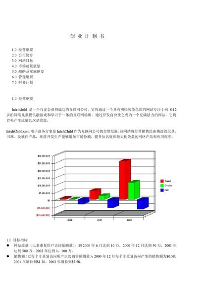 商业计划书实例说明word模板