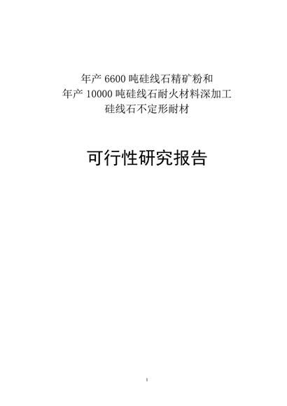 化学品生产建设项目可行性报告word模板