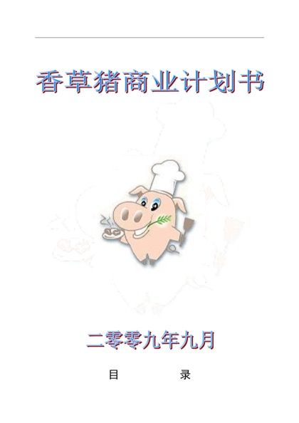 香草猪商业计划书word模板