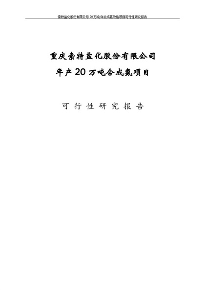 项目可行性研究报告Word模板