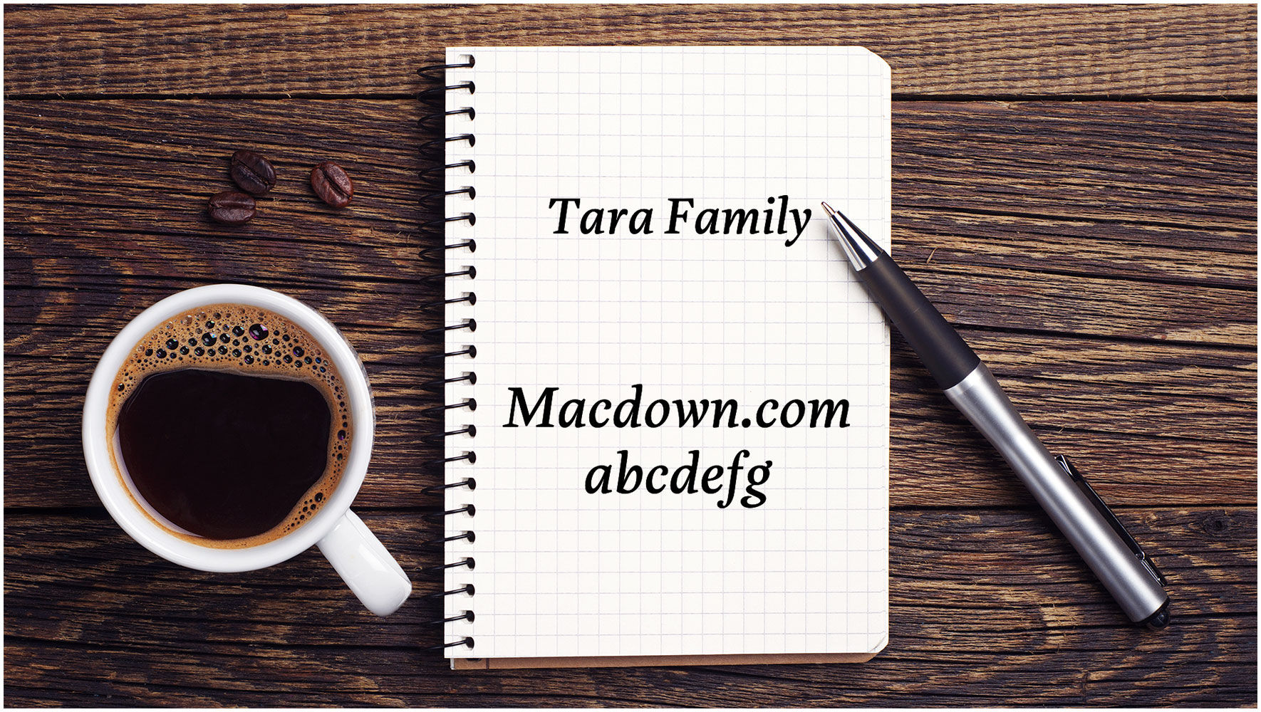 Tara Family衬线字体