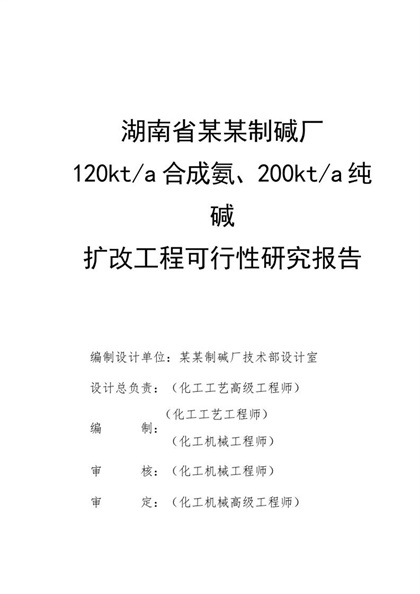 某某制碱厂扩改工程可行性研究报告word模板