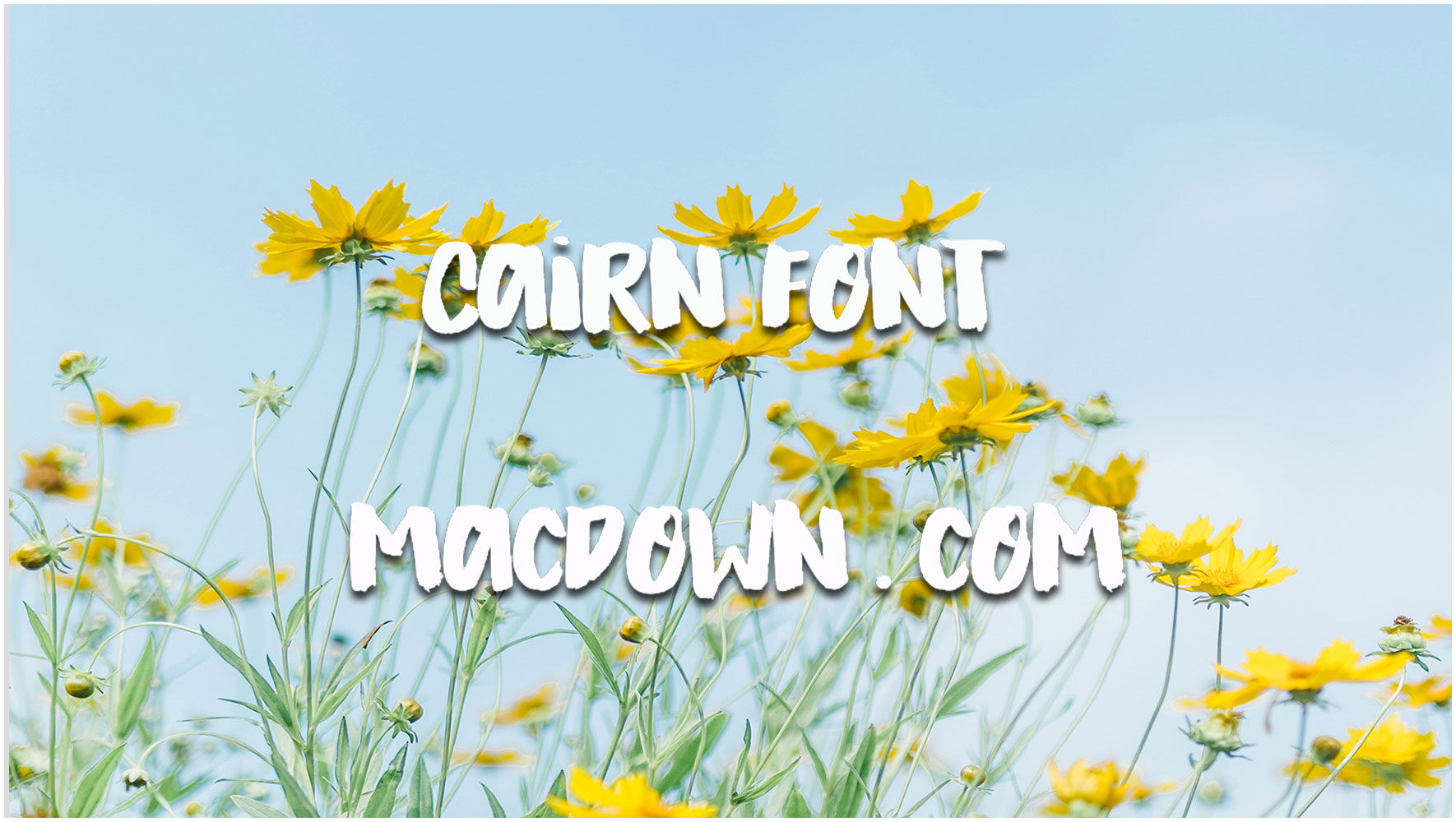 Cairn现代创意手写字体 for mac