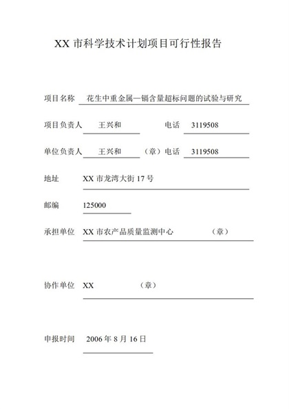 XX市科学技术计划项目可行性研究报告word模板