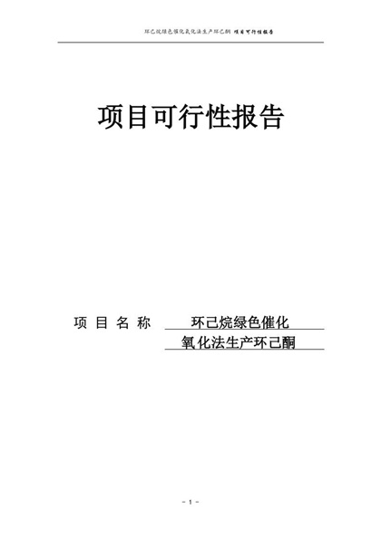 环己烷绿色催化氧化法生成环己酮项目可行性研究报告word模板