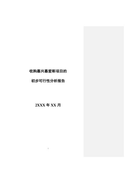 收购嘉兴嘉爱斯热电有限公司初步可行性报告word模板