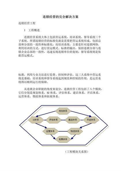 连锁经营的完全解决方案word模板