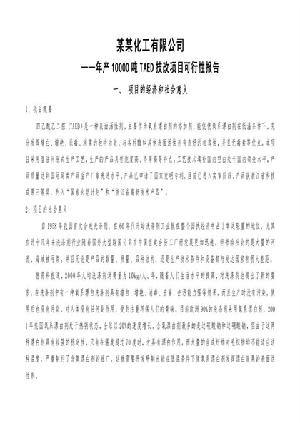 某化工有限公司年产10000吨TAED技改项目可行性报告Word模板