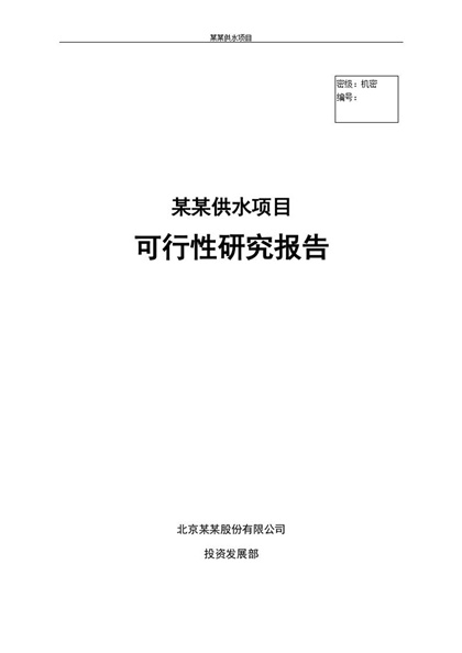 某某供水项目可行性研究报告Word模板