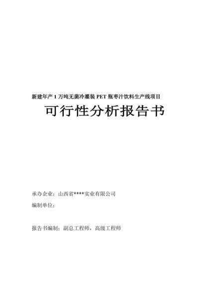 枣汁饮料生产线项目可行性分析报告书word模板