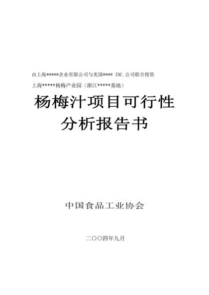 杨梅汁项目可行性分析报告书word模板