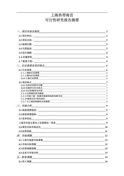 上海热带海宫项目可行性研究报告word模板