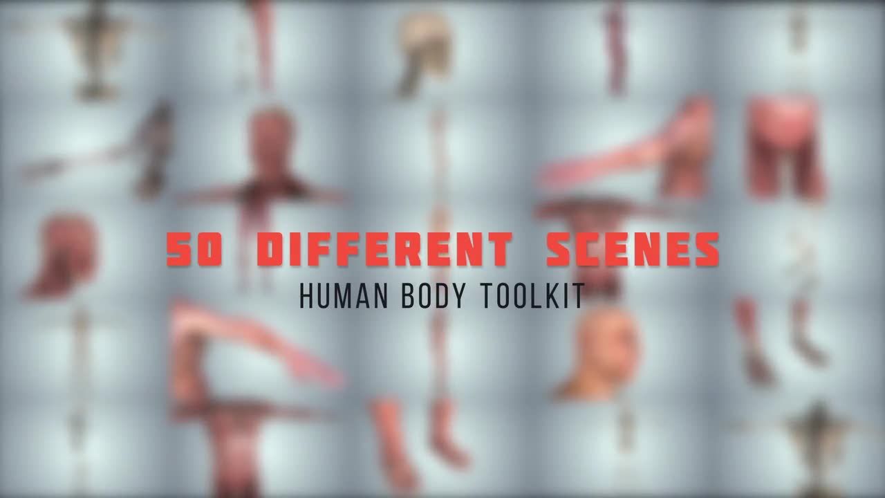 生动新颖的人体工具包AE模板