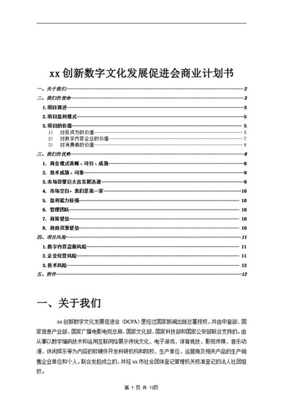 xx创新数字文化发展促进会商业计划书word模板