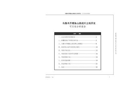 乌鲁木齐山路土地开发可行性分析报告word模板