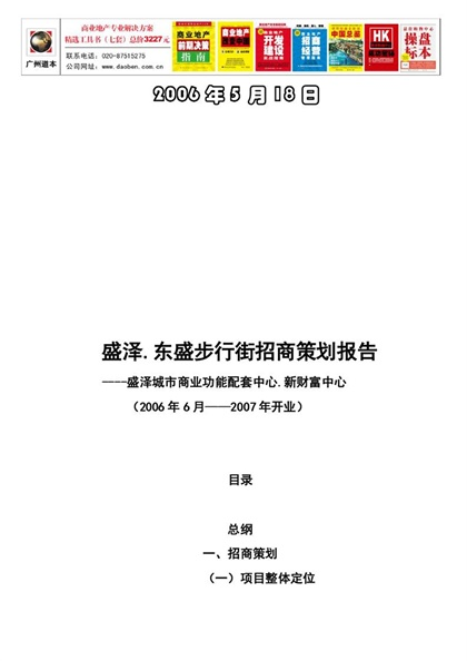 东盛步行街招商计划书word模板