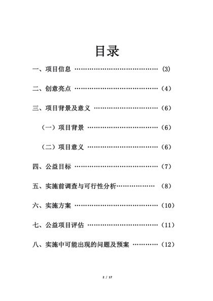 公益创业计划书word模板