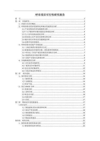 呼市项目可行性研究报告word模板