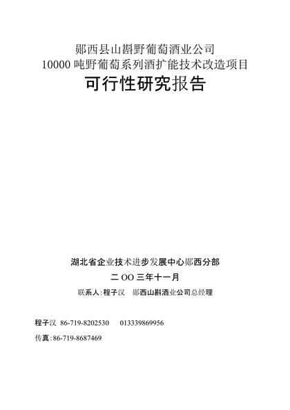 野葡萄系列酒扩能技术改造项目可行性研究报告word模板