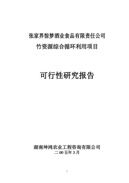 竹资源综合循环利用项目可研报告Word模板