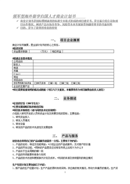 领军型海外留学归国人才商业计划书word模板