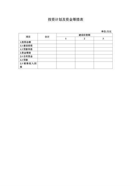 投资计划及资金筹措表word模板