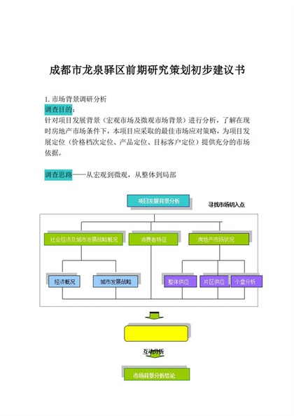 成都市龙泉驿区前期研究策划初步建议书Word模板