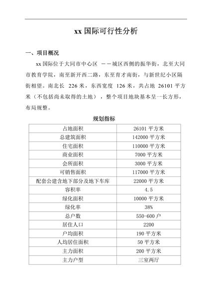 xx国际项目可行性分析报告word模板