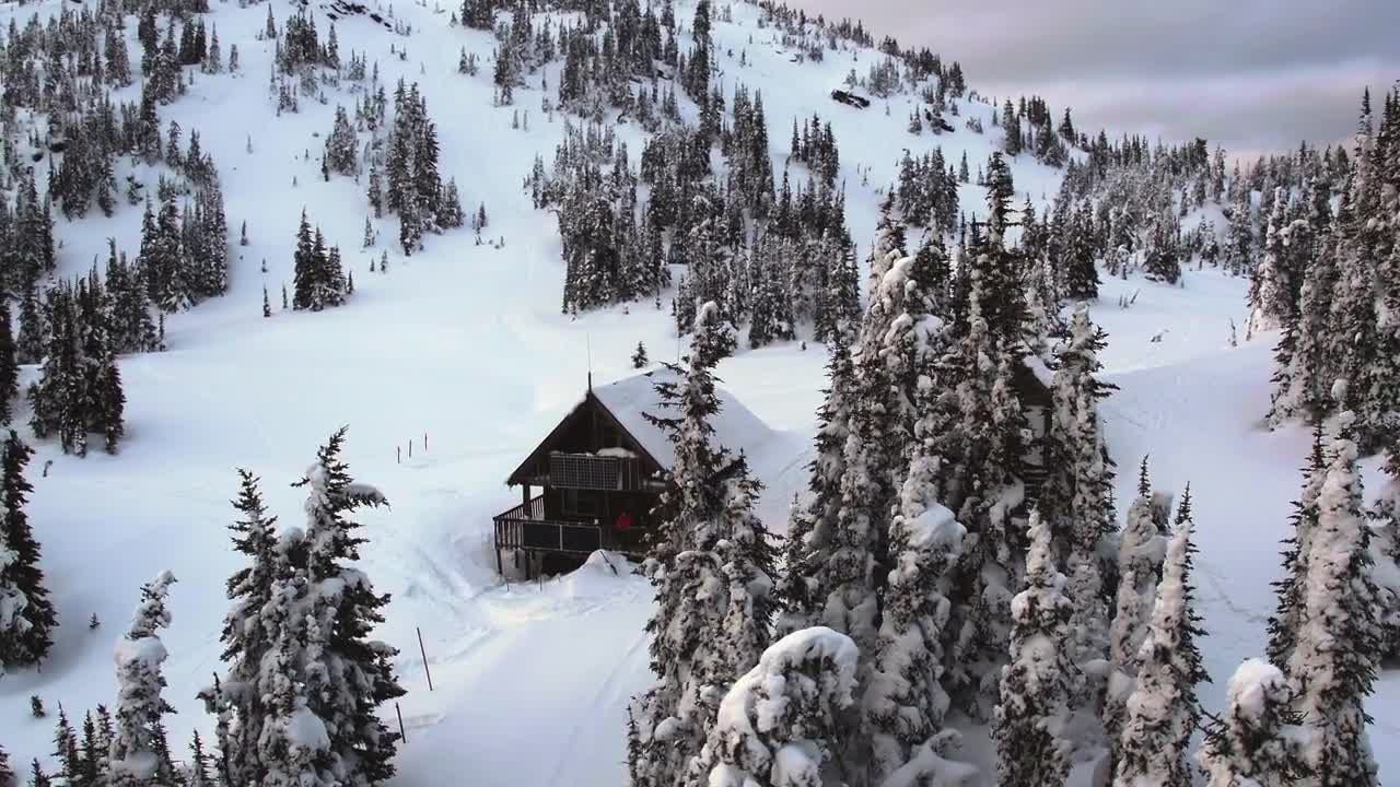 在松树林中被冰雪覆盖的小木屋视频特效