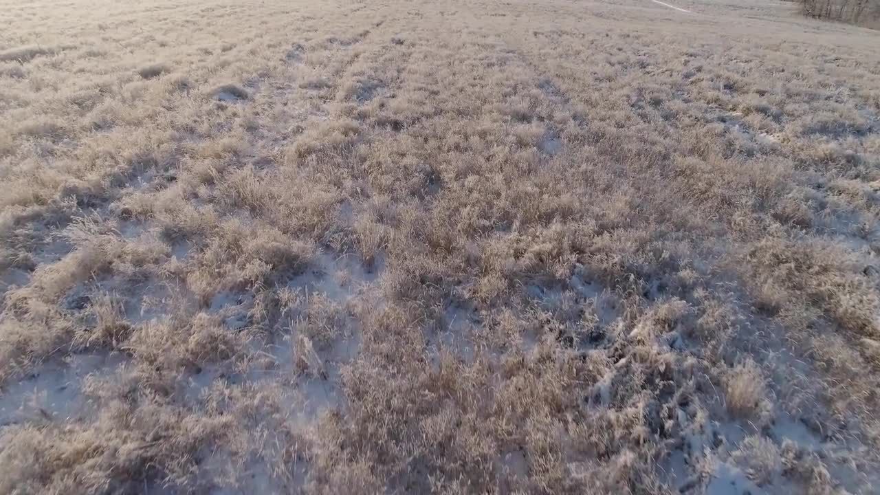 降雪中的草地视频特效