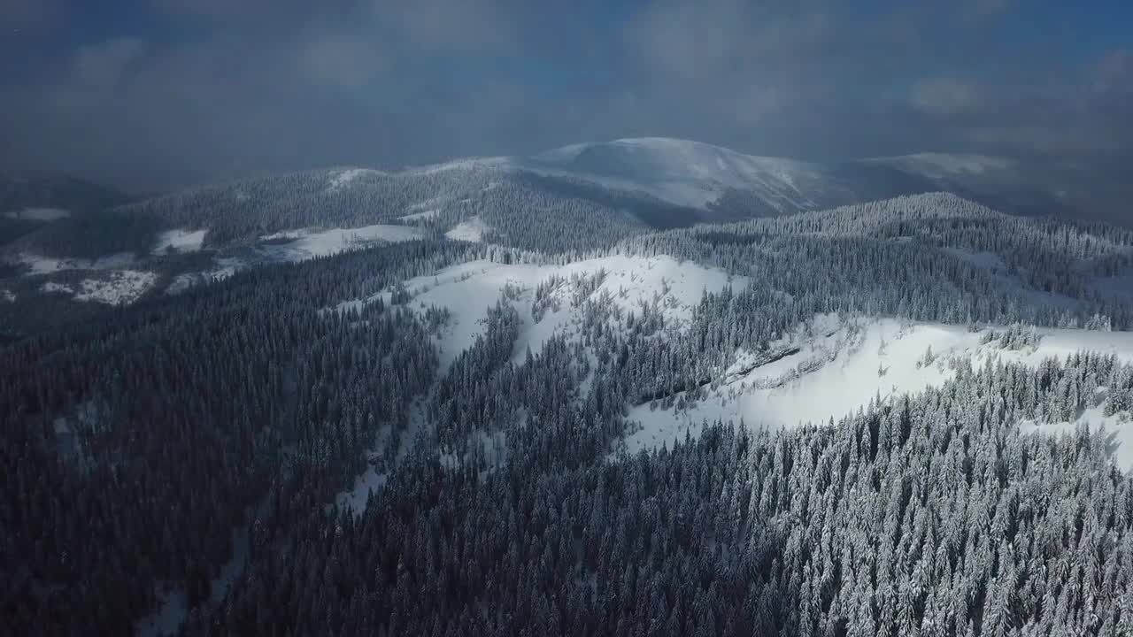 森林上空飘着的雪花视频特效