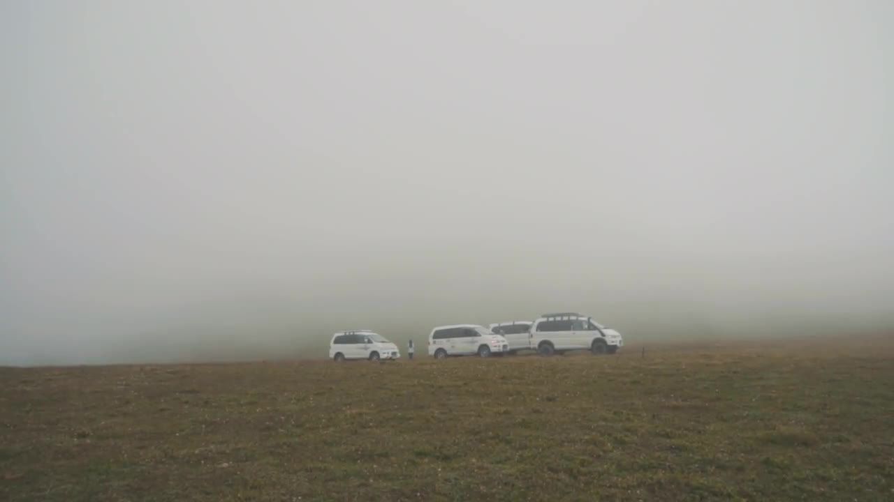 浓雾中的三辆白色汽车视频