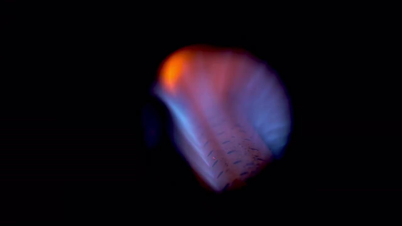 燃气锅炉燃烧的蓝焰视频素材