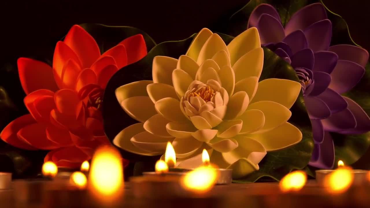 七彩花朵装饰前点燃的蜡烛实拍视频