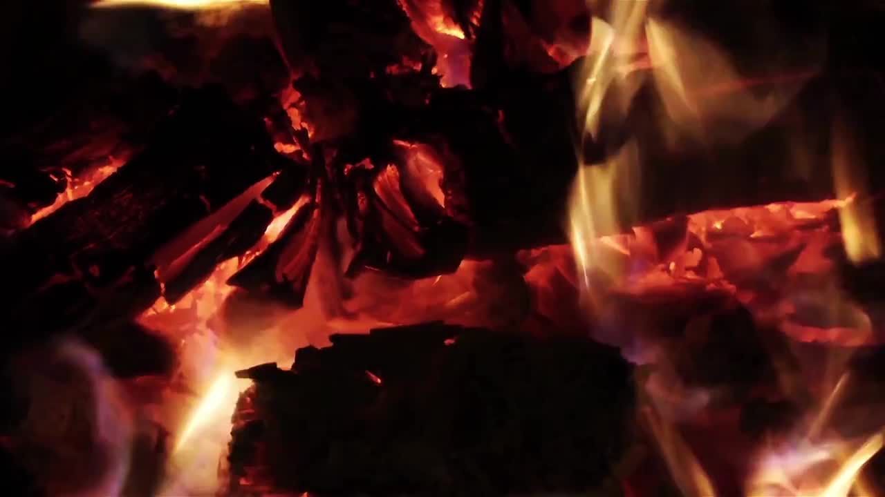 木头在火中燃烧的视频特写镜头视频素材